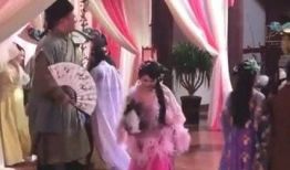 怡红院在线视频,揭秘古代名妓院的繁华生活