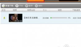 在线下载视频,在线视频内容深度解析